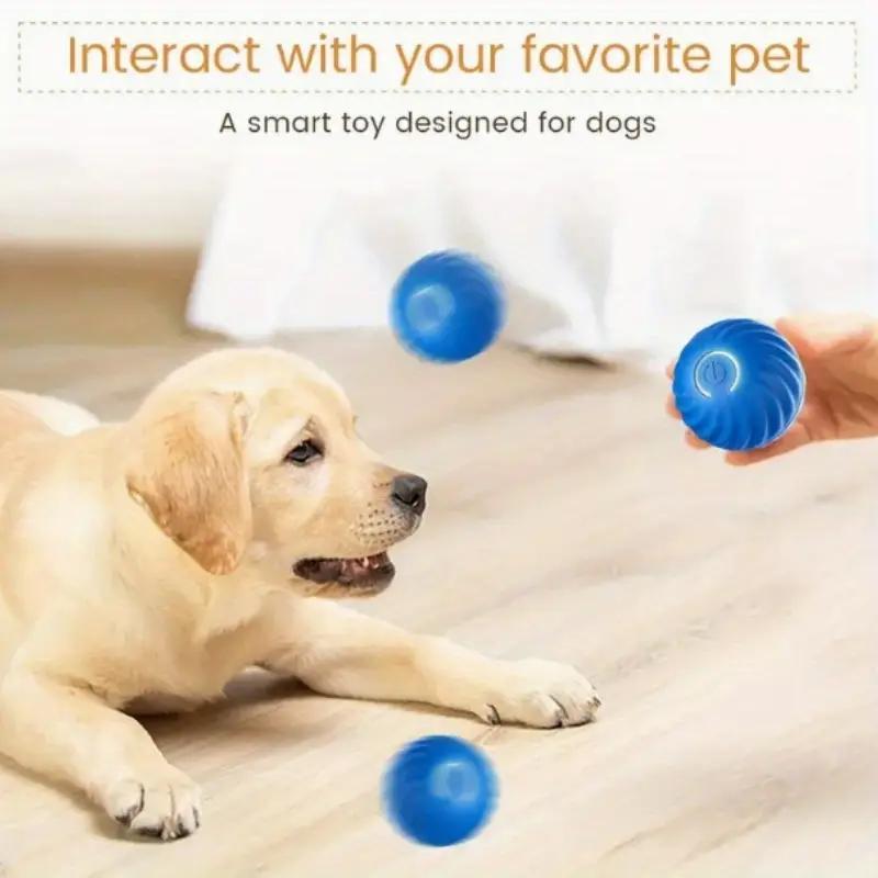 Playful Bouncing Ball for Happy Cats and Dogs.