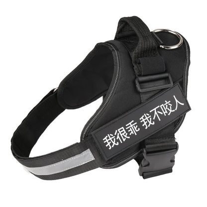 Gentle Pet Harness for Happy Outdoor Adventures