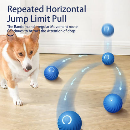 Smart Bouncing Ball — Endless Fun for Happy Dogs!