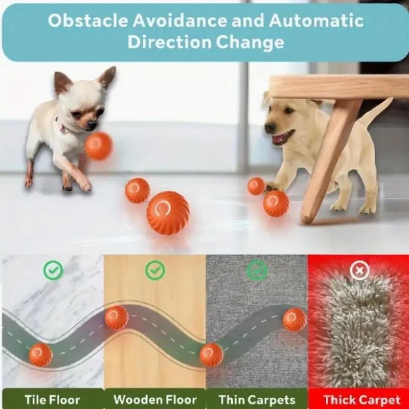 Playful Bouncing Ball for Happy Cats and Dogs.
