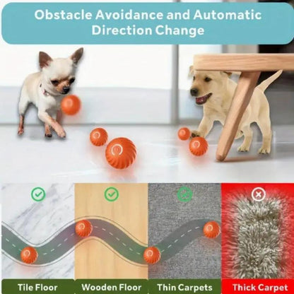 Playful Bouncing Ball for Happy Cats and Dogs.