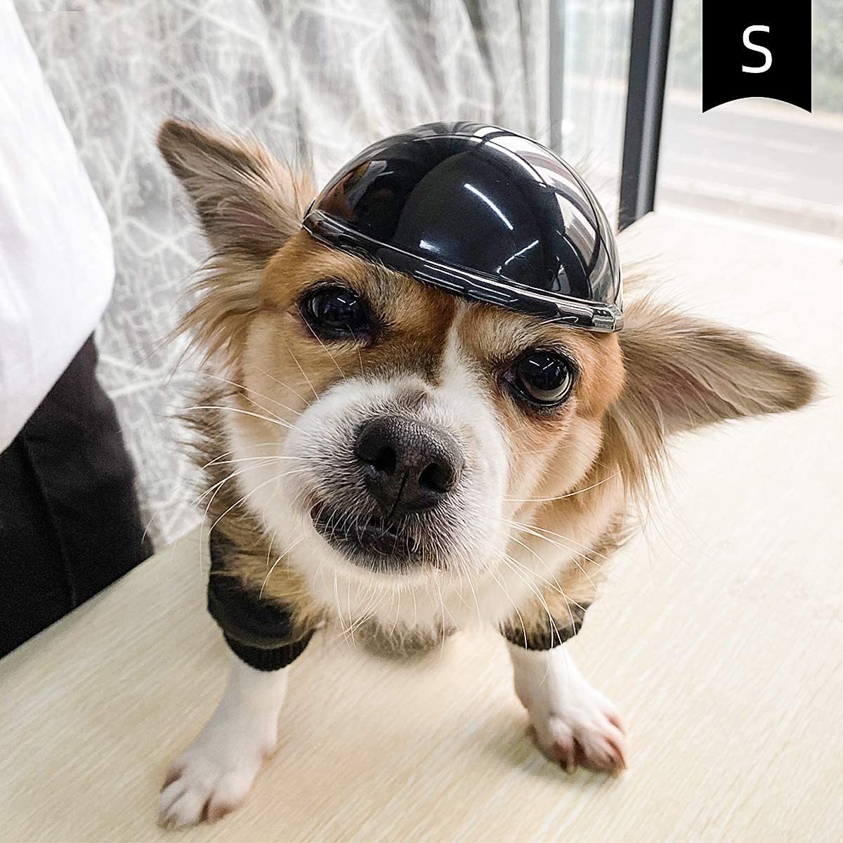 Cute Pet Helmet for Safe & Stylish Rides