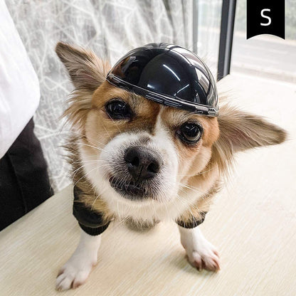 Cute Pet Helmet for Safe & Stylish Rides