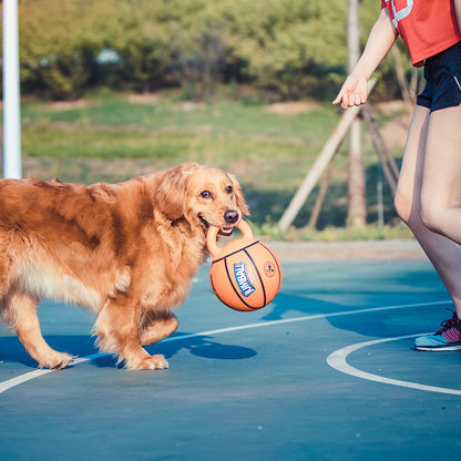 Jianbao Interactive Dog Toy – Tough & Fun