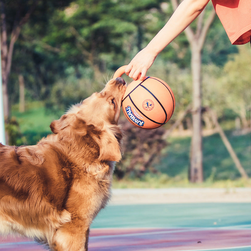 Jianbao Interactive Dog Toy – Tough & Fun