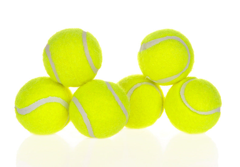 Dog’s Best Friend – Self-Launching Fetch Toy
