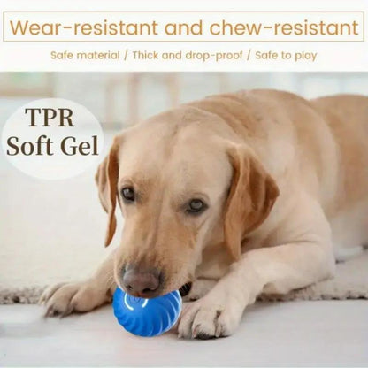 Playful Bouncing Ball for Happy Cats and Dogs.