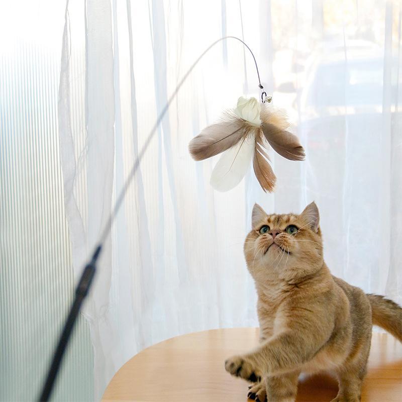 Laser Cat Stick Toy – Endless Fun for Kittens