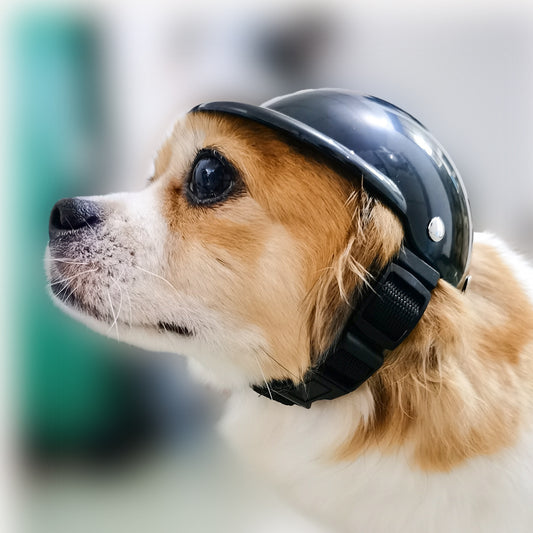 Cute Pet Helmet for Safe & Stylish Rides