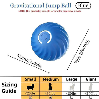 Playful Bouncing Ball for Happy Cats and Dogs.