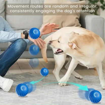 Playful Bouncing Ball for Happy Cats and Dogs.