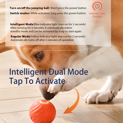 Smart Bouncing Ball — Endless Fun for Happy Dogs!