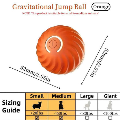 Playful Bouncing Ball for Happy Cats and Dogs.