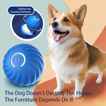 Smart Bouncing Ball — Endless Fun for Happy Dogs!