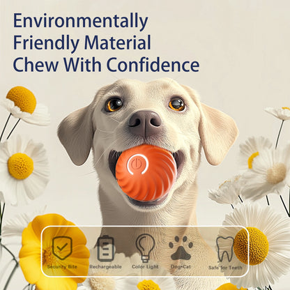 Smart Bouncing Ball — Endless Fun for Happy Dogs!