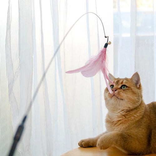 Laser Cat Stick Toy – Endless Fun for Kittens