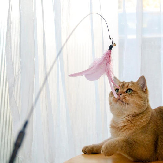 Laser Cat Stick Toy – Endless Fun for Kittens