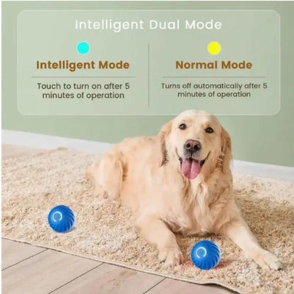 Playful Bouncing Ball for Happy Cats and Dogs.