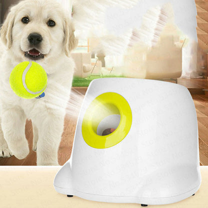 Dog’s Best Friend – Self-Launching Fetch Toy
